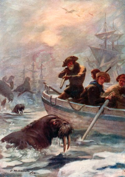 La tripulación del Capitán Cook disparando morsas para comida de J. Williamson